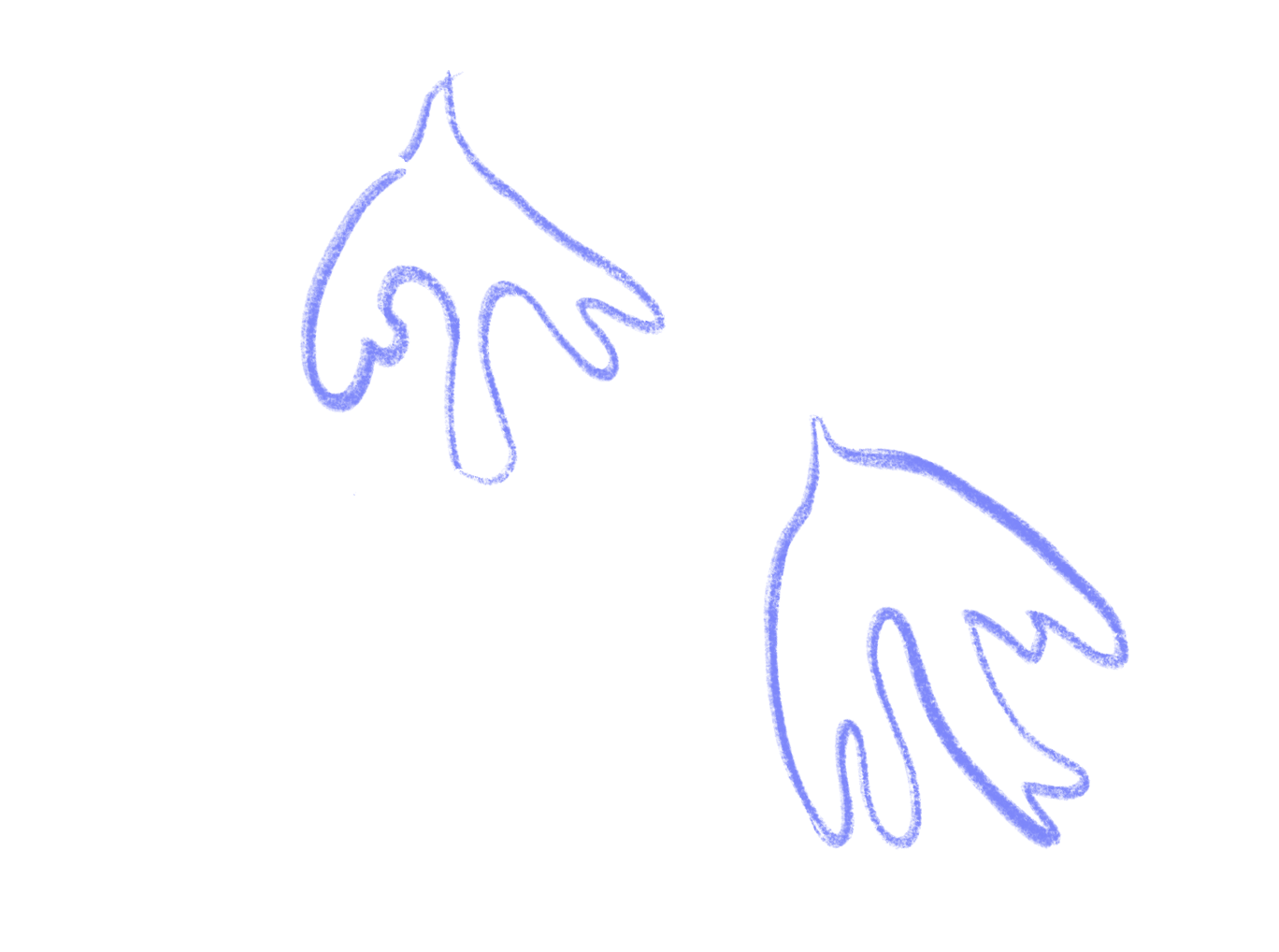 Light, Animal, Sea Life